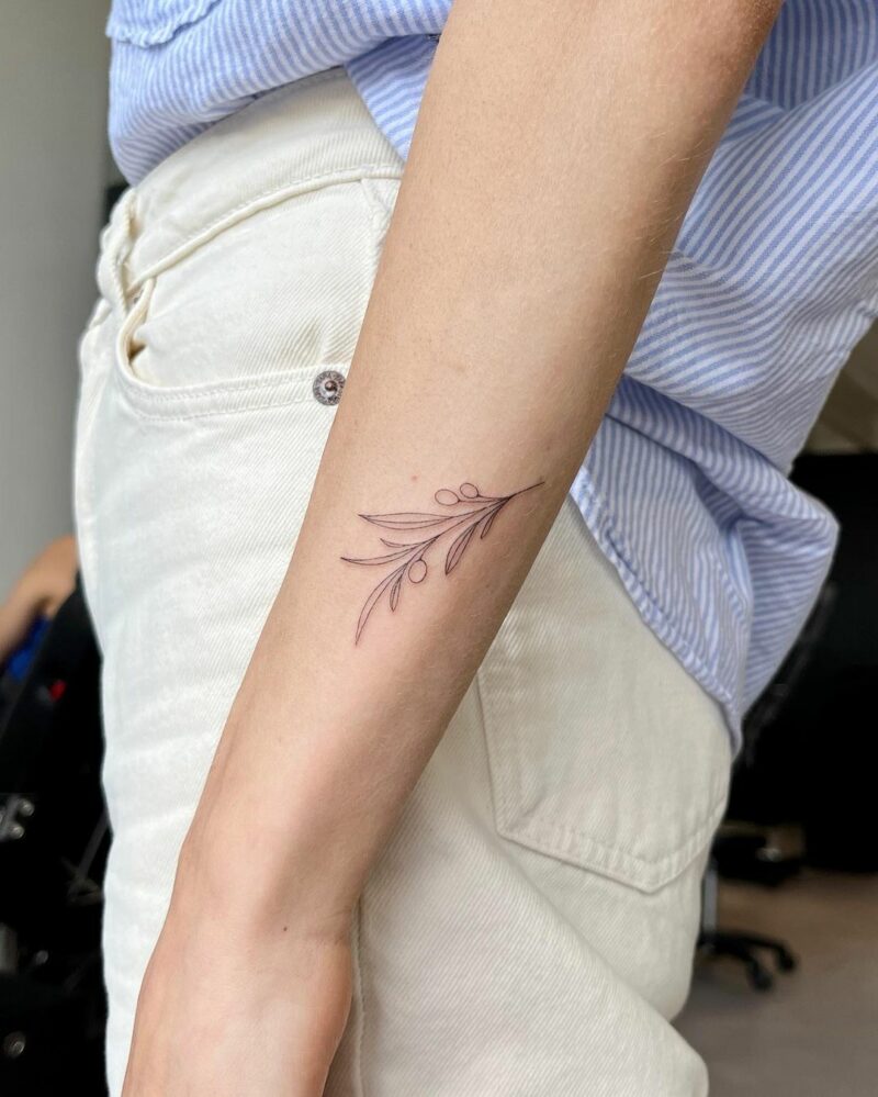 Small olive tree tattoo