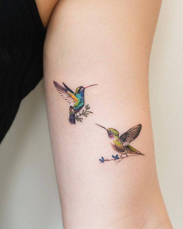 Cheerful hummingbirds