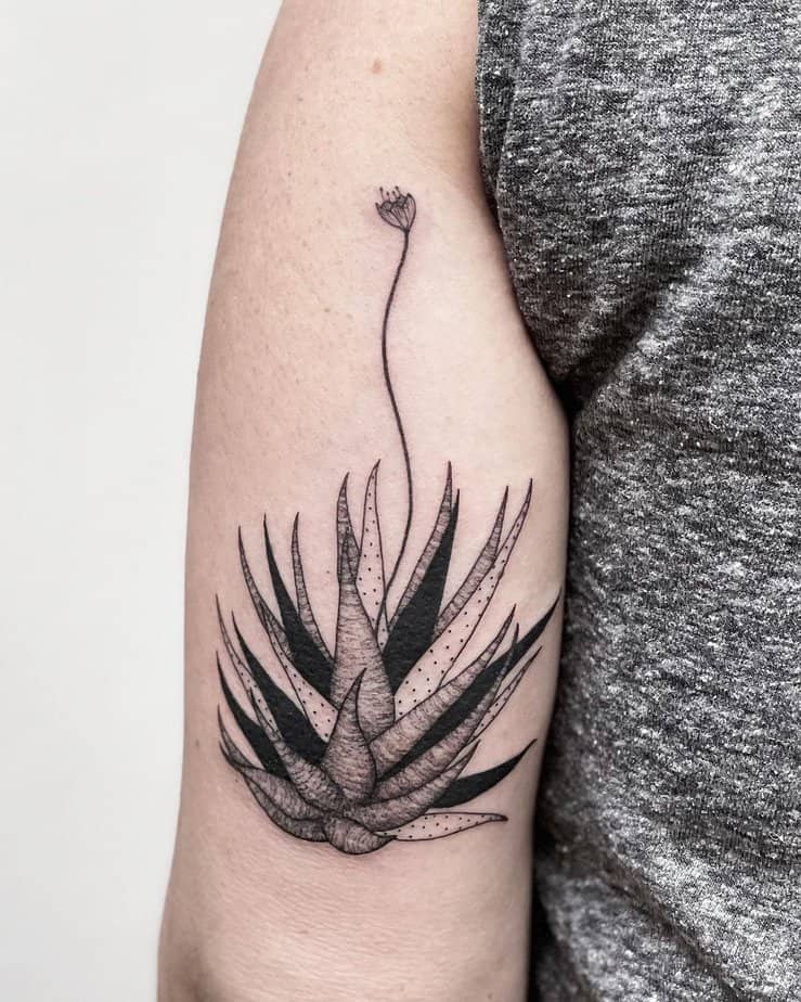 Intricate succulent tattoo