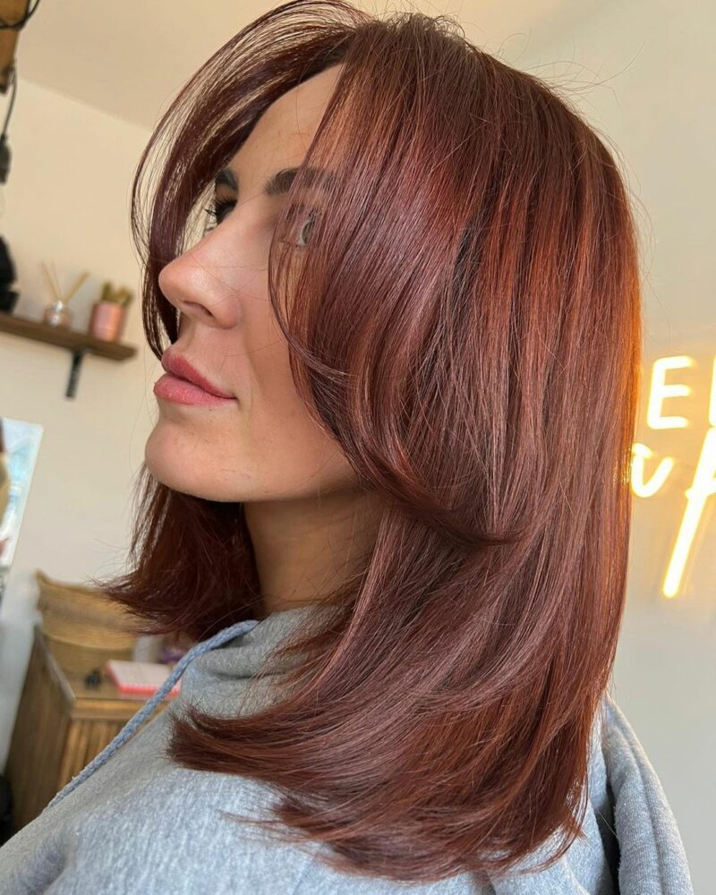 35 Beautiful Chestnut Brown Hair Ideas To Earn Your Bro…