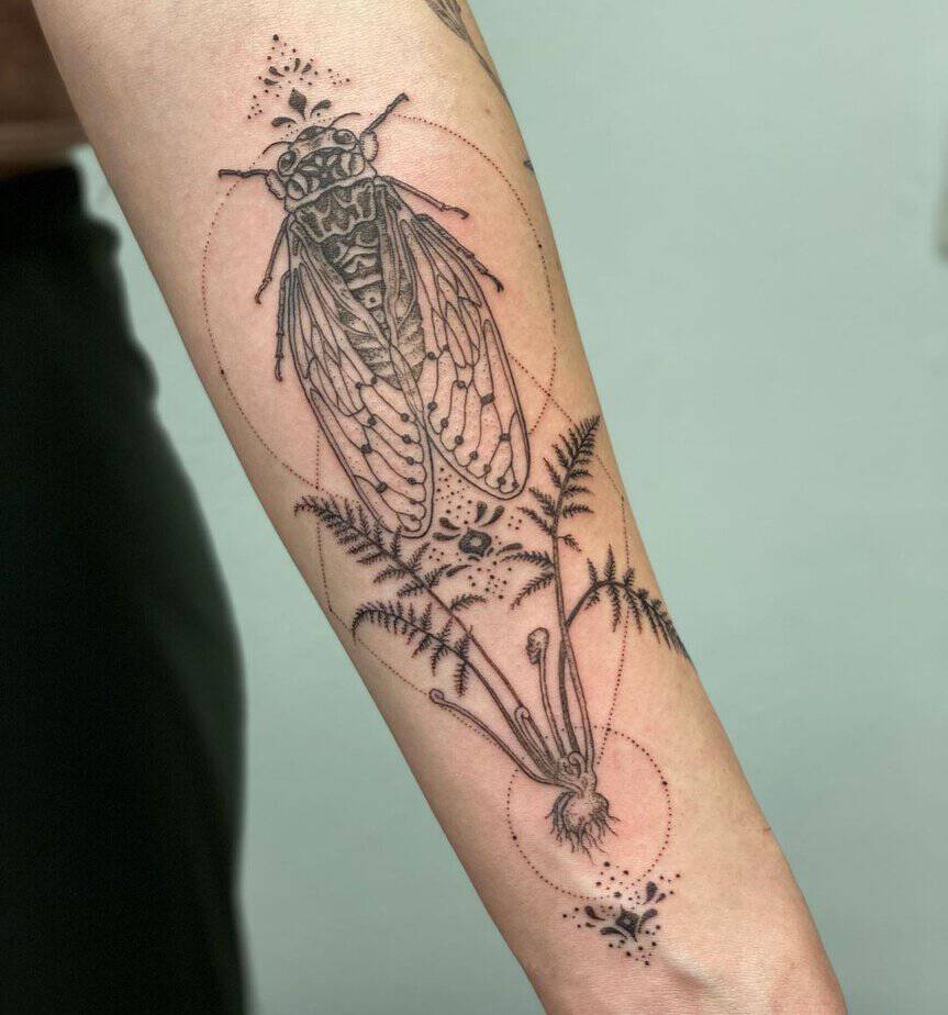 20 Cicada Tattoo Ideas That Will Have You Buzzing With Style