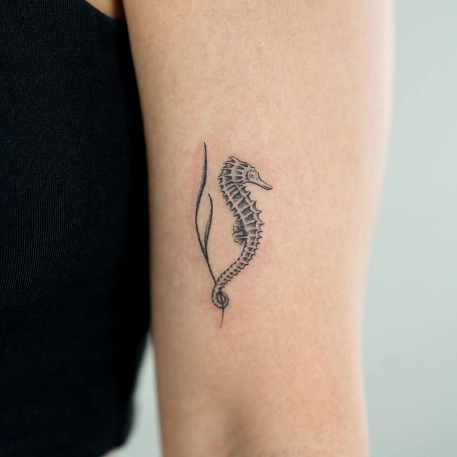 Dive Into These 20 Stunning Seahorse Tattoo Ideas