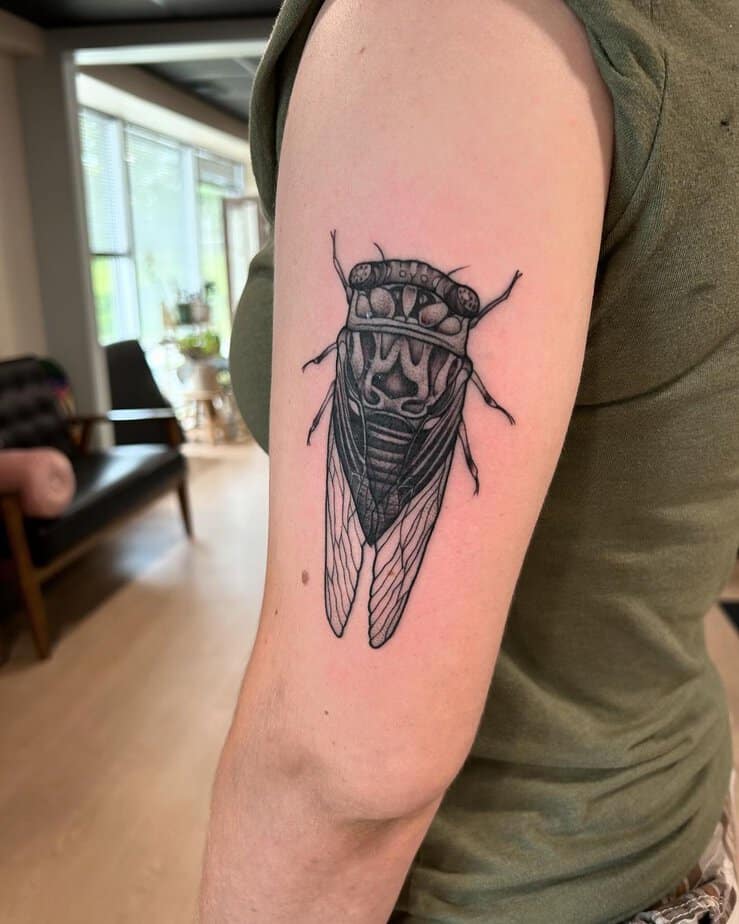 20 Cicada Tattoo Ideas That Will Have You Buzzing With Style