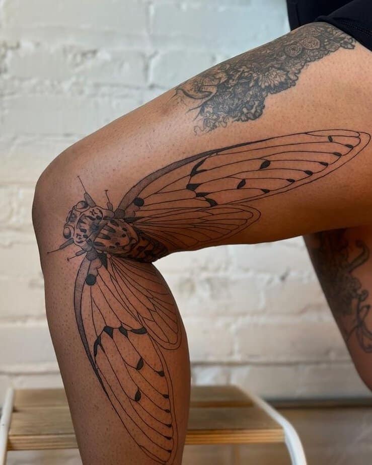 20 Cicada Tattoo Ideas That Will Have You Buzzing With Style