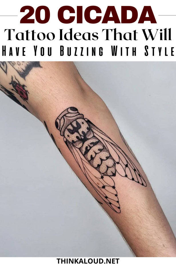 20 Cicada Tattoo Ideas That Will Have You Buzzing With Style