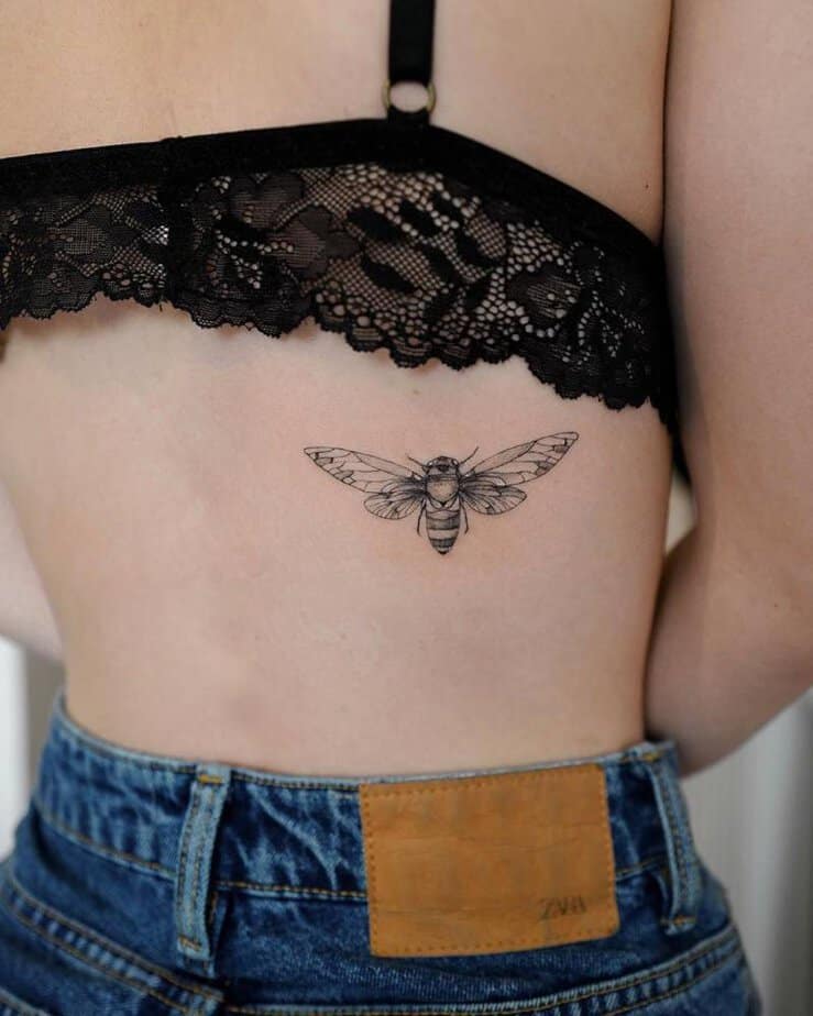 20 Cicada Tattoo Ideas That Will Have You Buzzing With Style