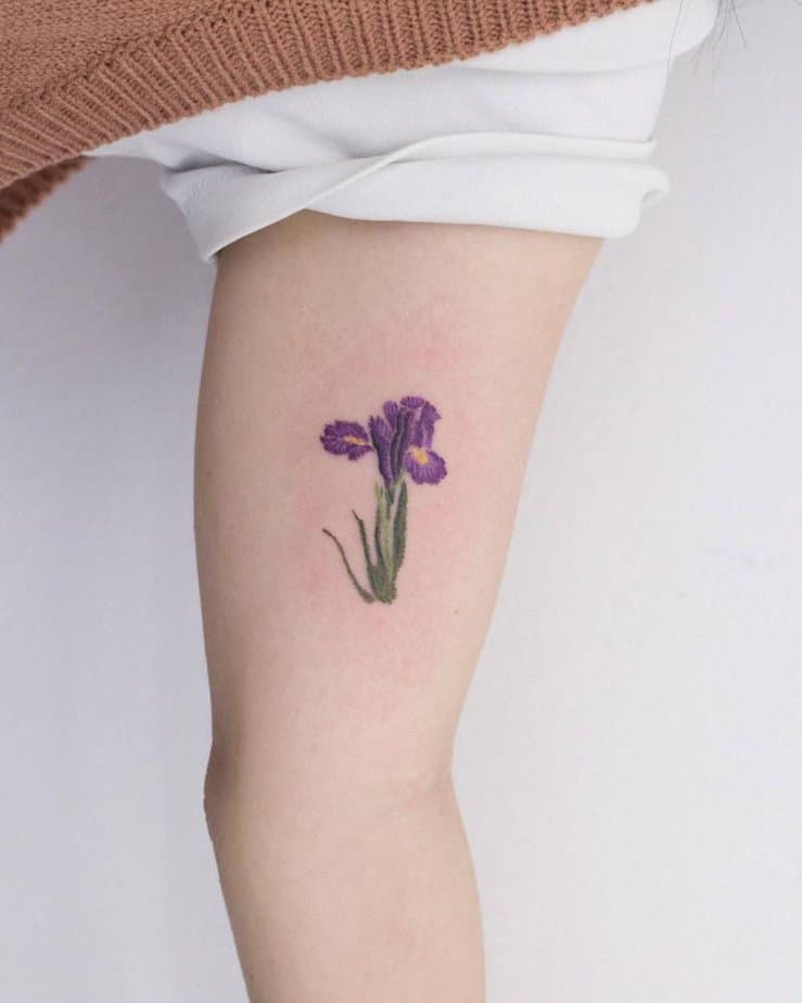 20 Iris Tattoo Ideas That Are Simply Petal Perfect