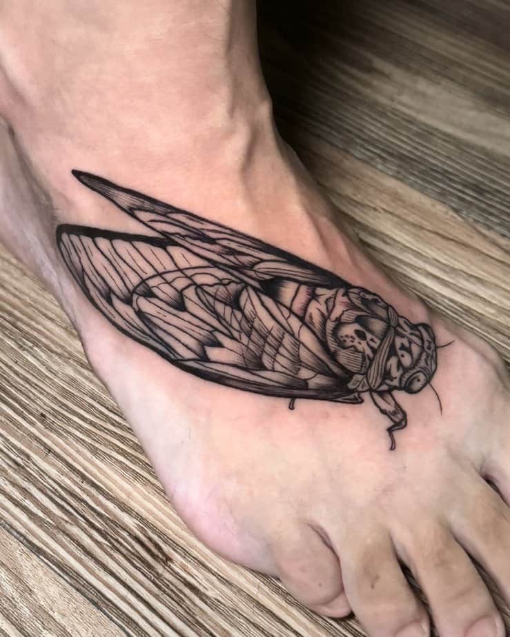 8. Cicada on the foot