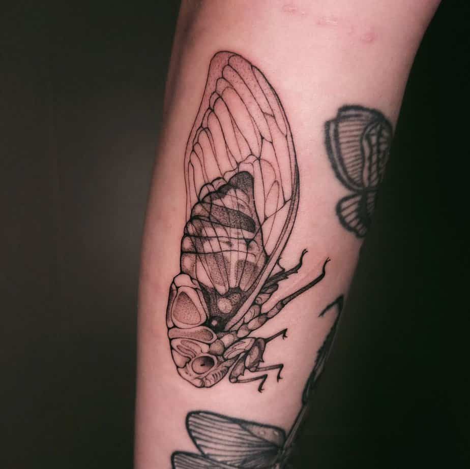 20 Cicada Tattoo Ideas That Will Have You Buzzing With Style