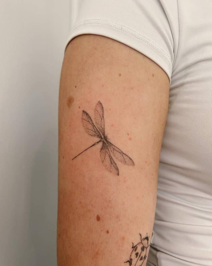 Dragonfly tattoo