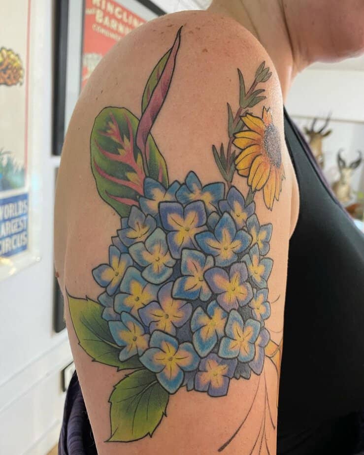 Hydrangea sunflower and praying plant