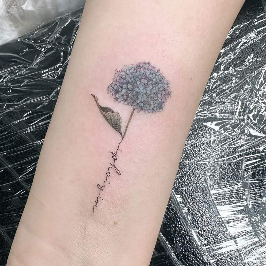 Hydrangea tattoo with lettering