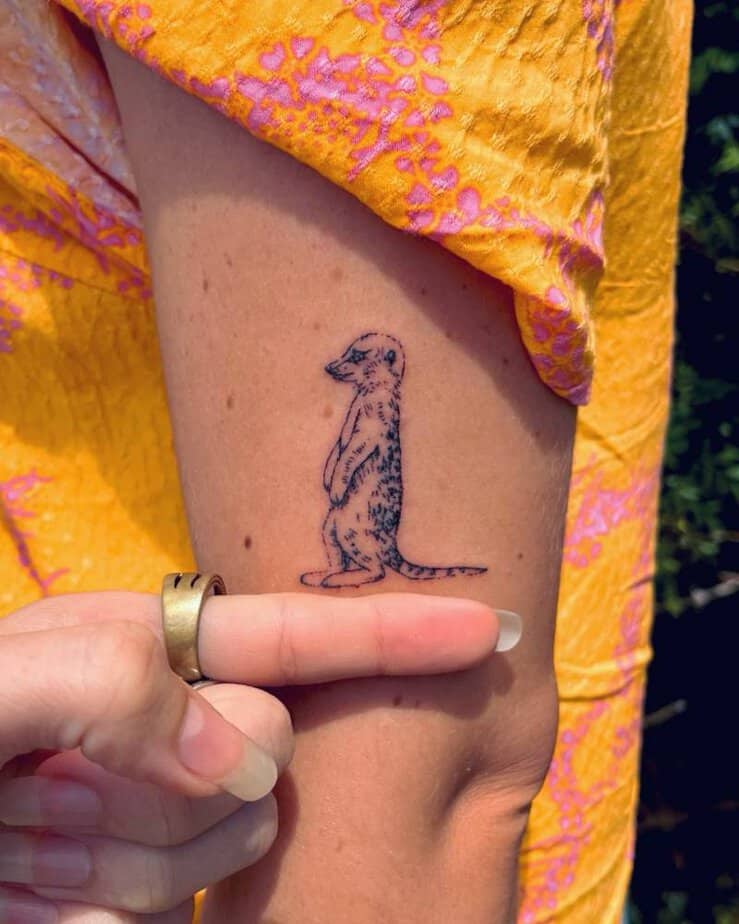 Meerkat tattoo