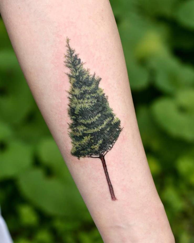 20 Beautiful Realistic Tattoos That Will Leave You Speechless