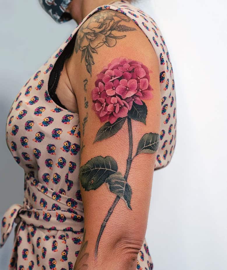 Pink hydrangea tattoo 1