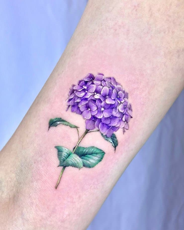 19 Breathtaking Hydrangea Tattoos To Celebrate Nature's Beauty