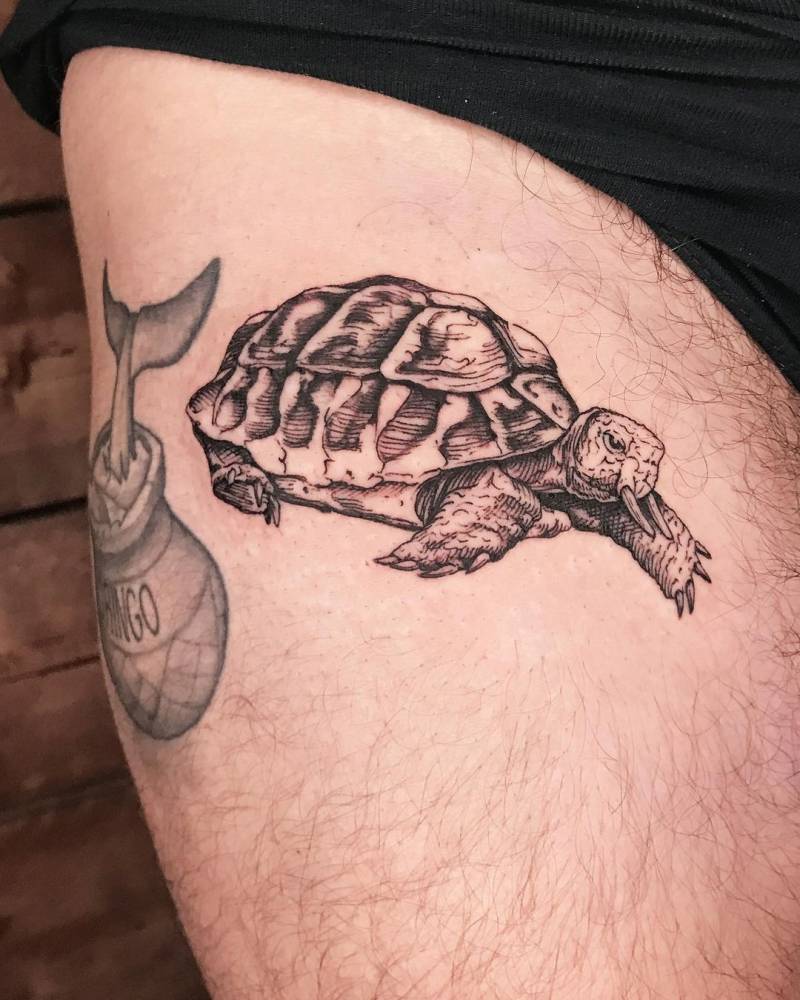 Turtle engraving tattoo