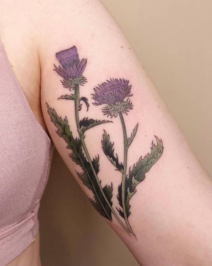 20 Amazing Thistle Tattoo Ideas That Show There Is Beauty In The Thorns