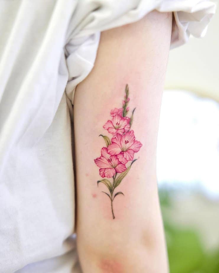 12. Pink gladiolus on the arm