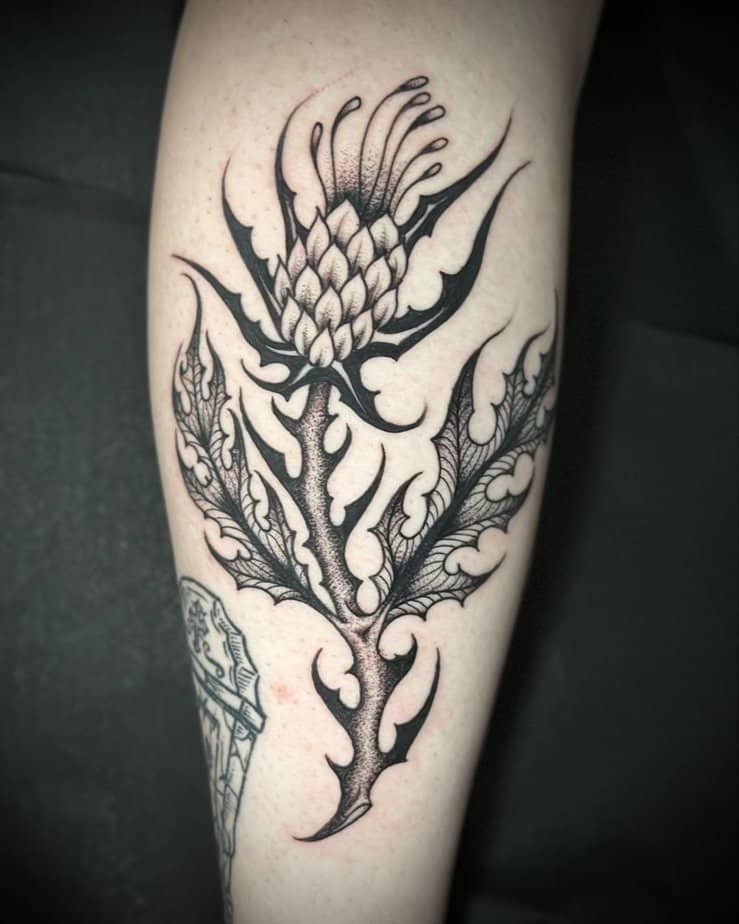 20 Amazing Thistle Tattoo Ideas That Show There Is Beauty In The Thorns