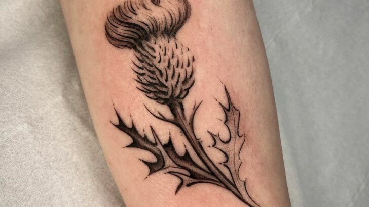 s-20 Amazing Thistle Tattoo Ideas That Show There Is Beauty In The Thorns