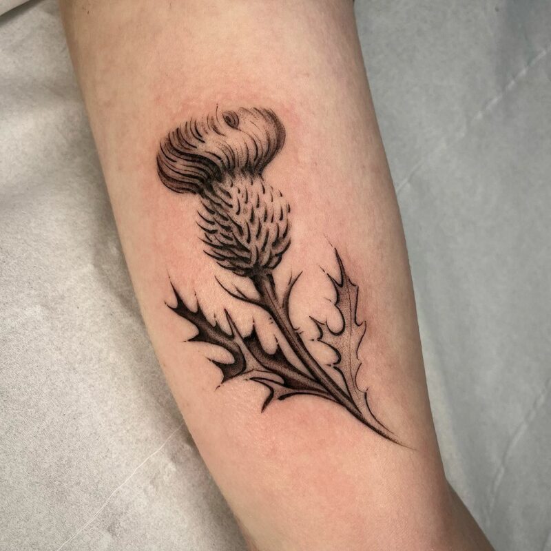 20 Amazing Thistle Tattoo Ideas That Show There Is Beauty In The Thorns