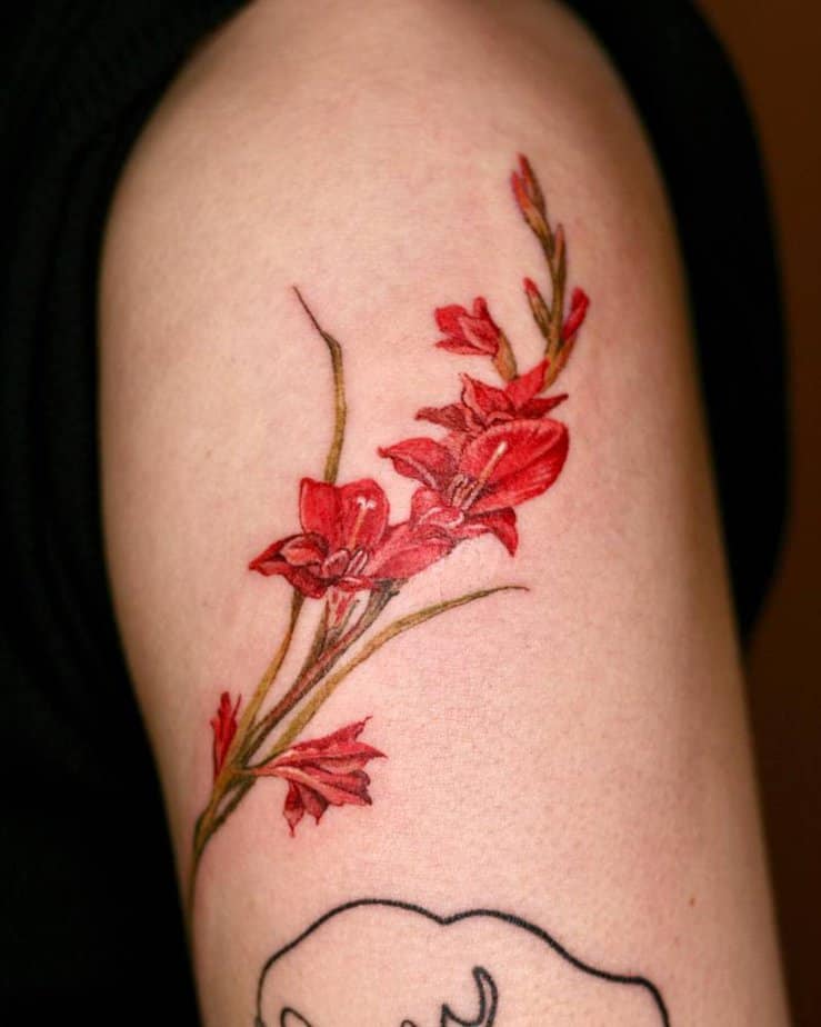 2. Bold red gladiolus on the upper arm