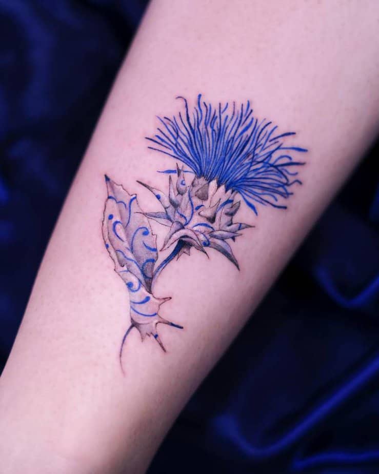 4. Blue thistle