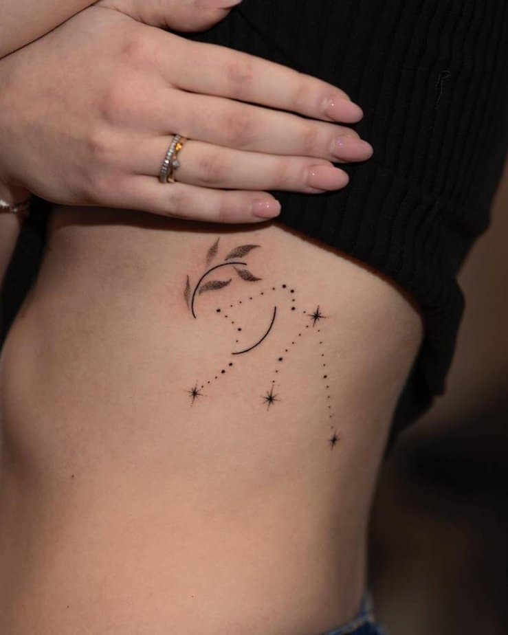 6. Moonlit Aquarius constellation for the dreamer