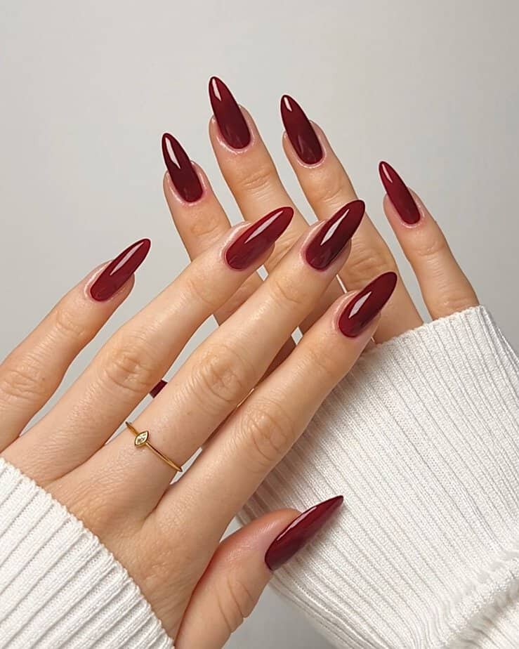 Burgundy December nails