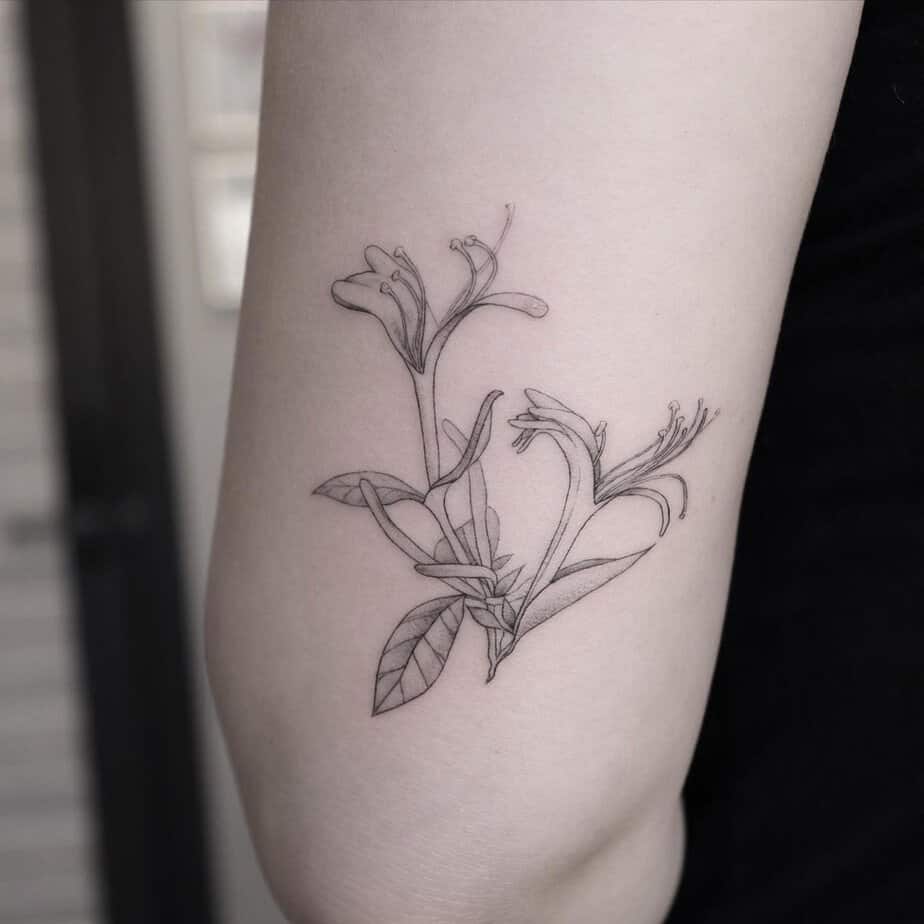 20 Beautiful Honeysuckle Tattoo Ideas And Their Hidden Meanings