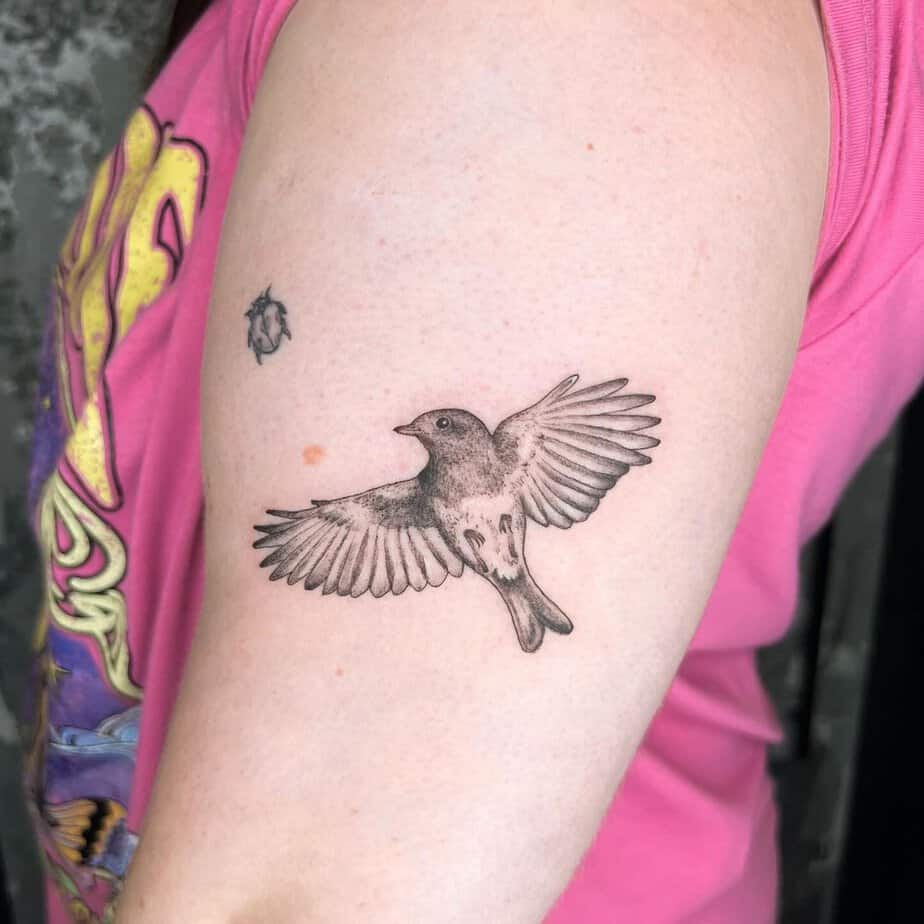 20 Creative And Sweet Robin Tattoo Ideas To Wing-Press Anyone