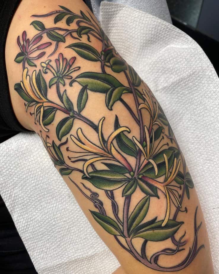 20 Beautiful Honeysuckle Tattoo Ideas And Their Hidden Meanings