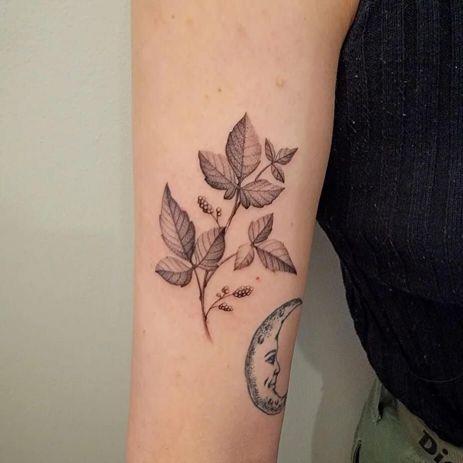 18 Stunning Poison Ivy Tattoo Ideas To Express Your Wild Side