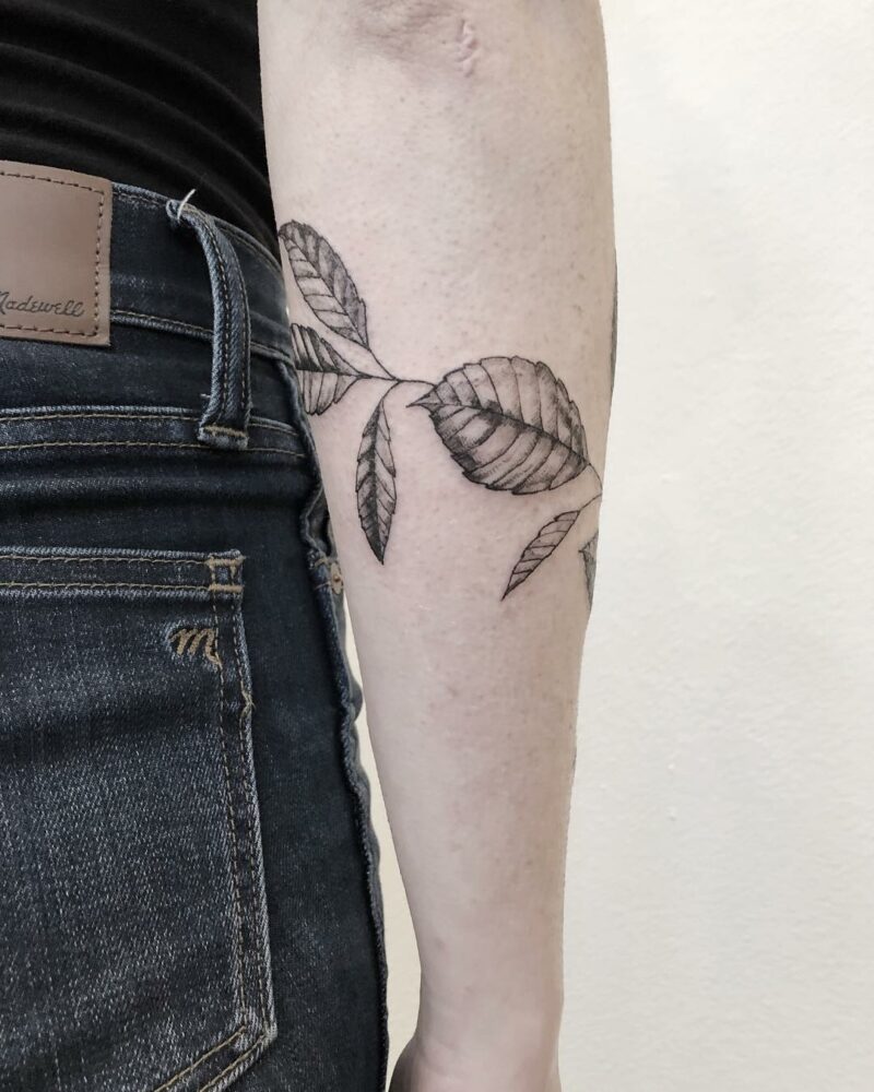 Poison ivy tattoo around the foreram