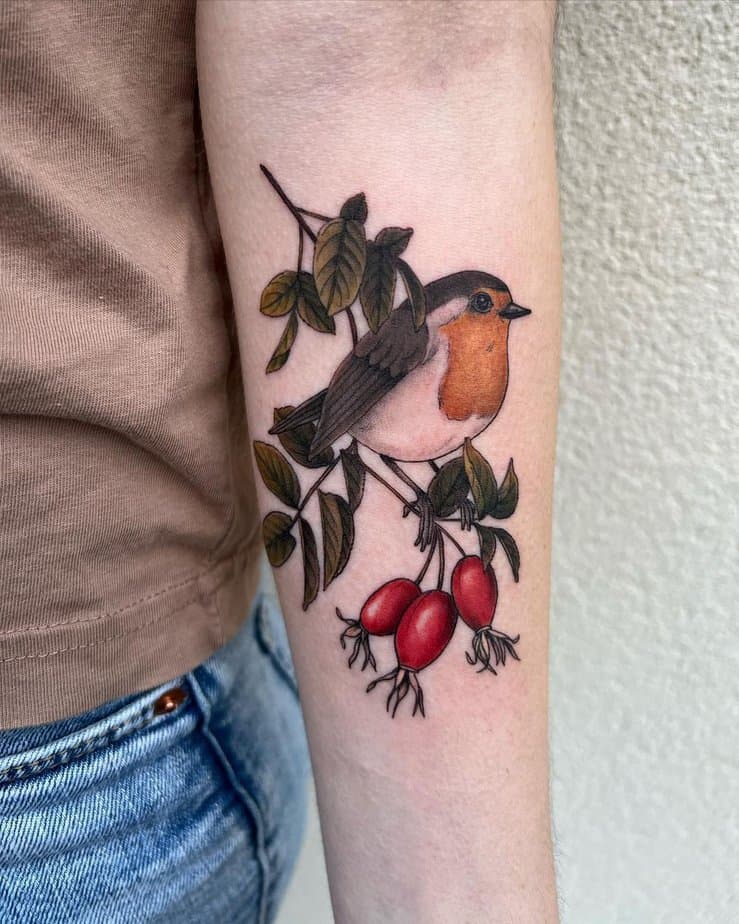 Robin on a rose hip branch