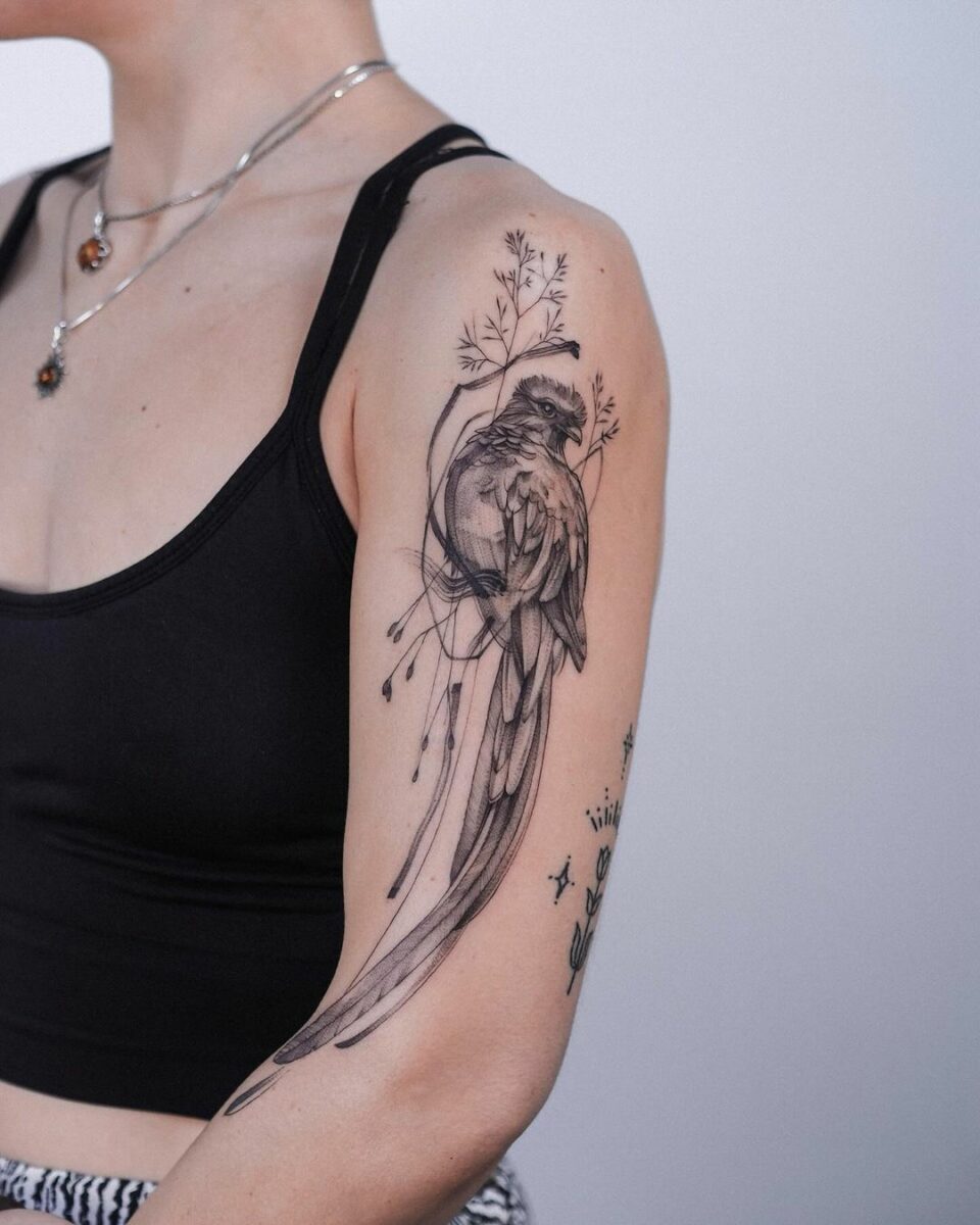 Fly High With These 18 Vibrant Quetzal Tattoos