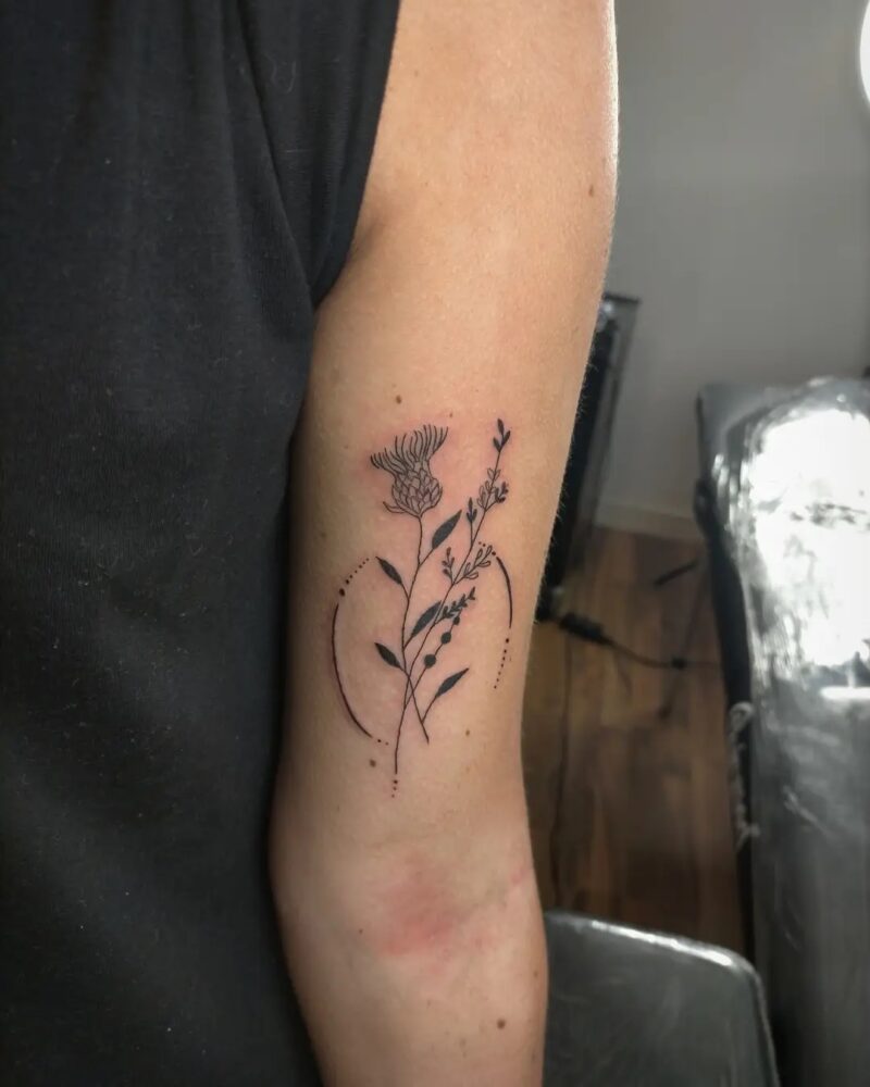 Thistle tattoo