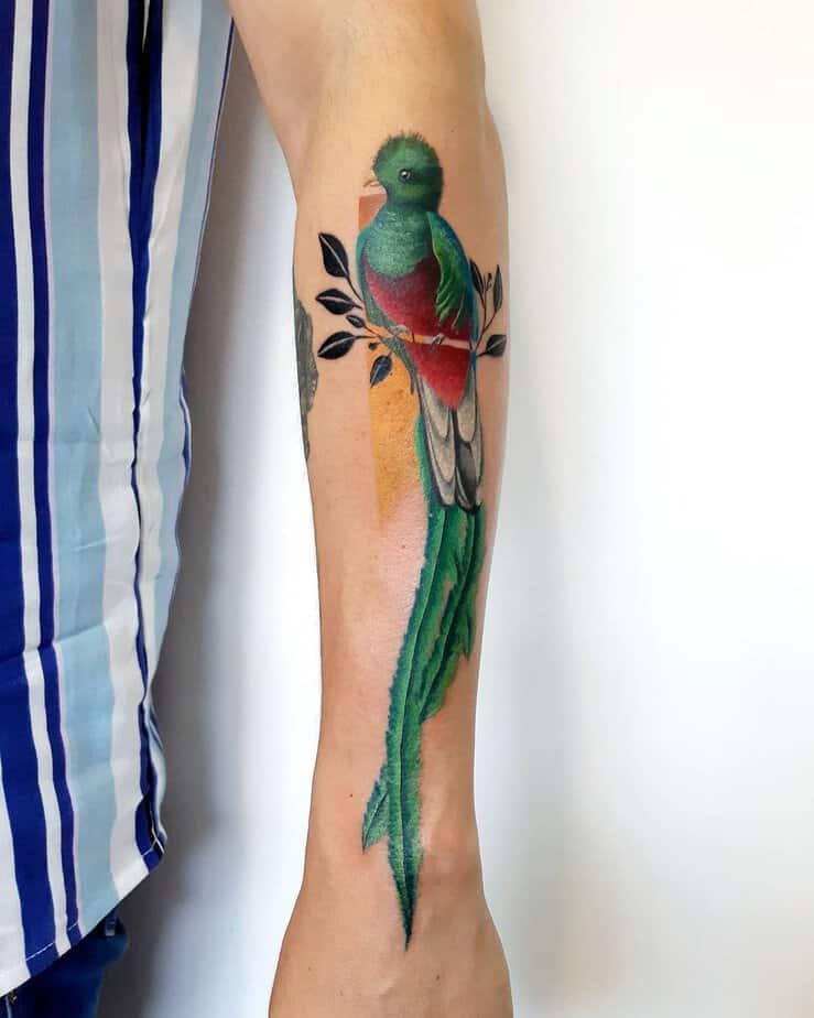 Fly High With These 18 Vibrant Quetzal Tattoos