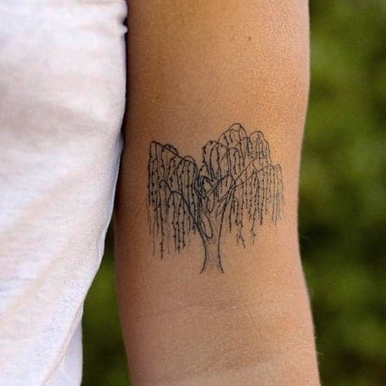 20 Weeping Willow Tattoo Ideas That Will Make You Weep Tears Of Joy