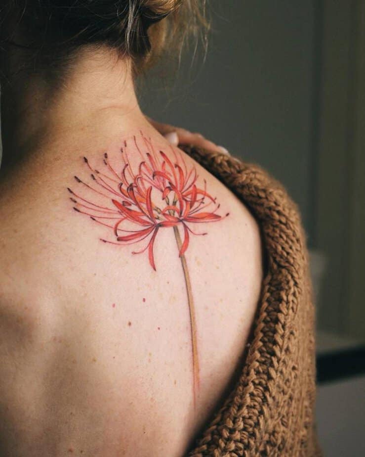 20 Stunning Spider Lily Tattoo Designs That’ll Grow on You