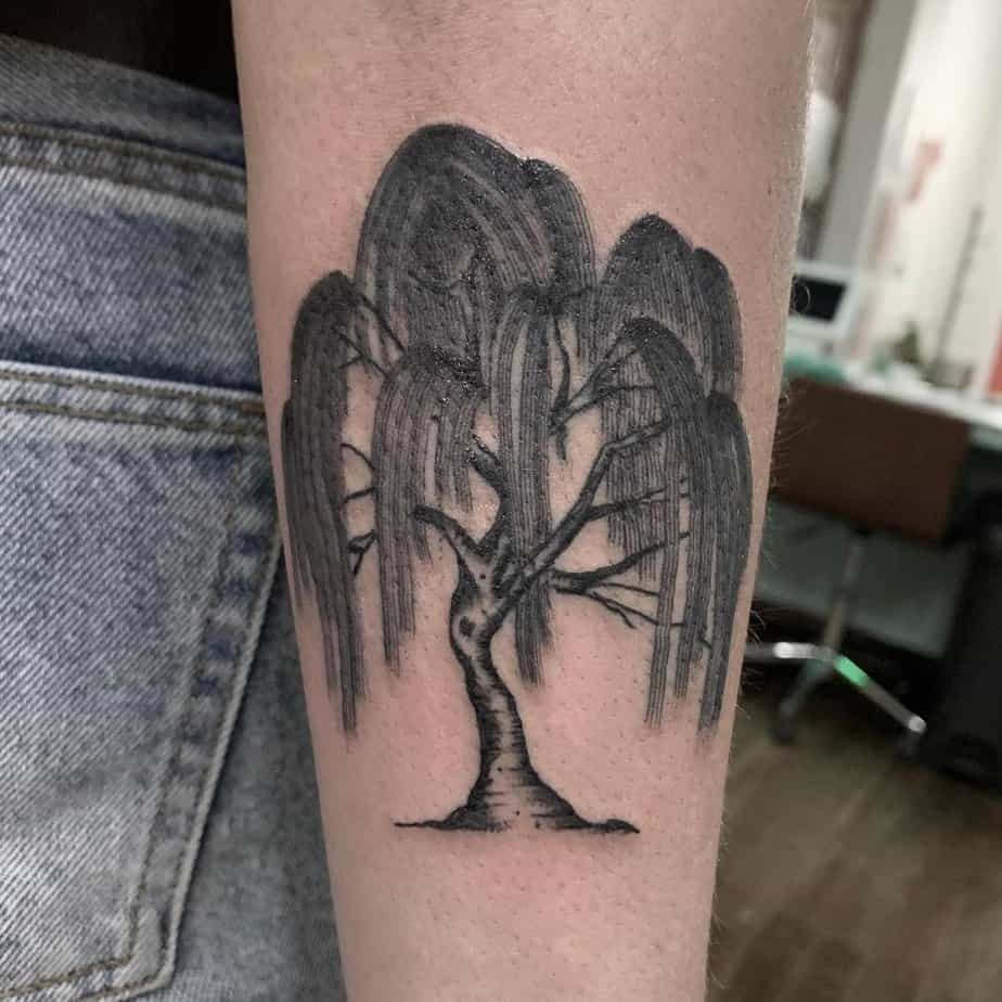 12. Classic weeping willow with bold shading