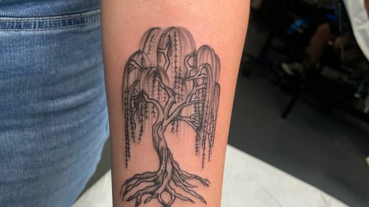 20 Weeping Willow Tattoo Ideas That Will Make You Weep Tears Of Joy