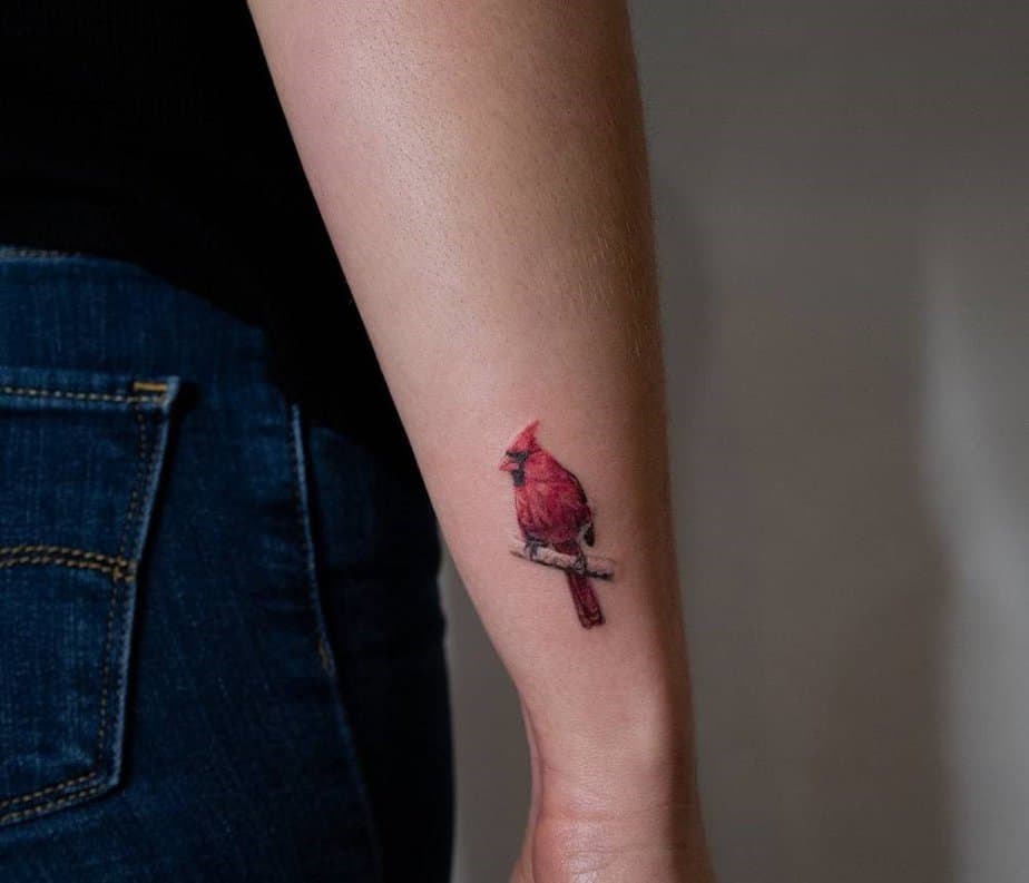 16. Small realistic cardinal on forearm