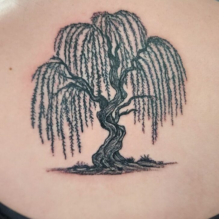 20 Weeping Willow Tattoo Ideas That Will Make You Weep Tears Of Joy