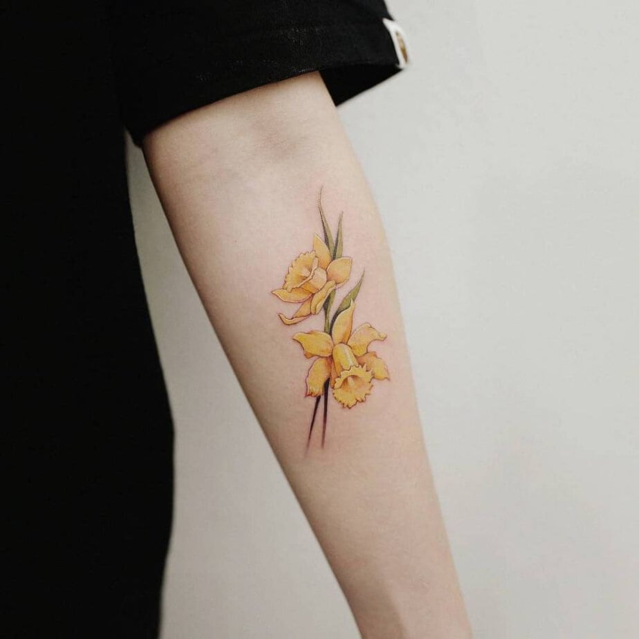 18. A pair of blooming daffodils