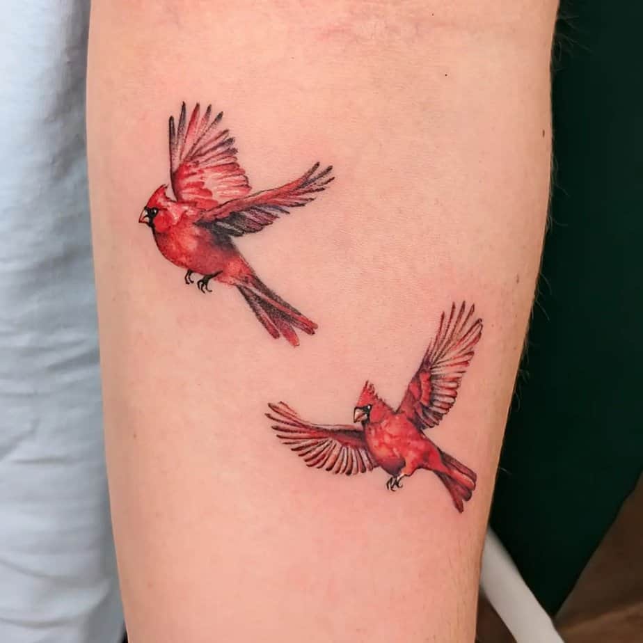 18. Two cardinals in flight