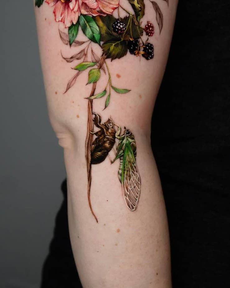 2. Blackberry and cicada tattoo