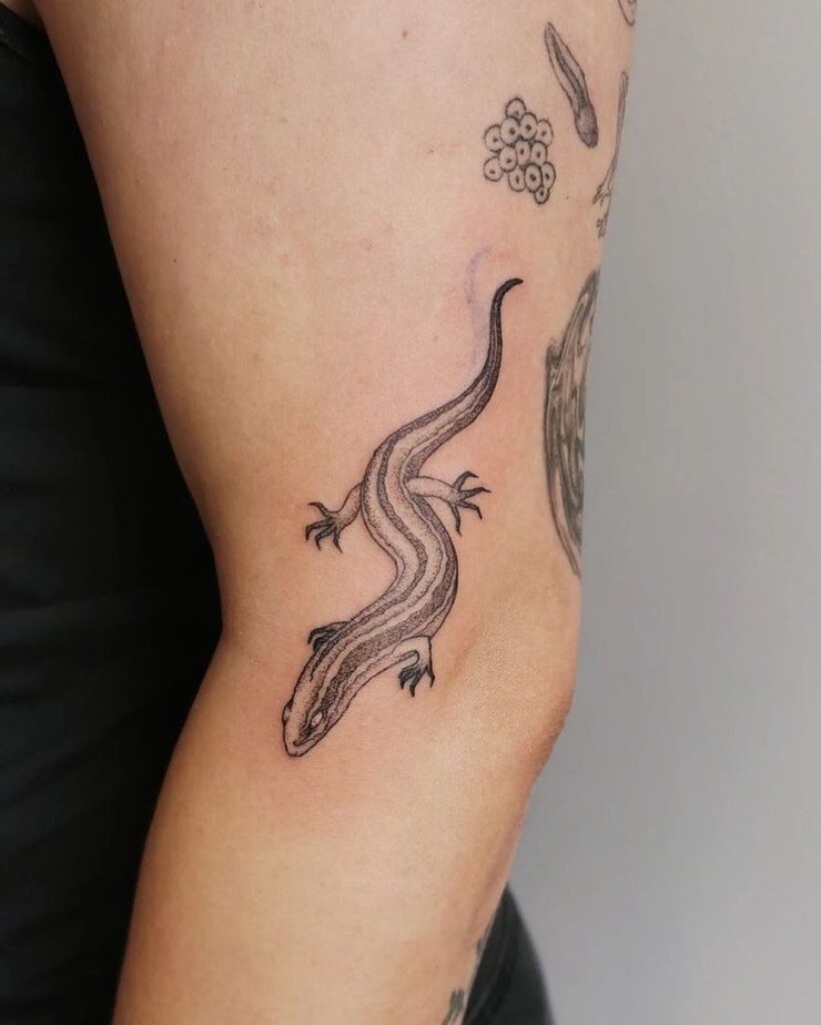 20 Amazing Lizard Tattoo Designs That Are Off The Scales