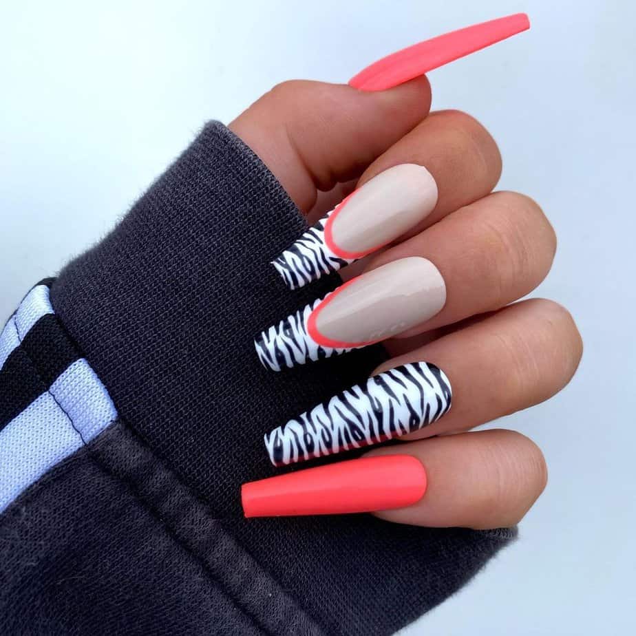 24. Coral and zebra